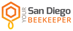 Your San Diego Beekeeper